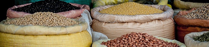 wholesome seeds and grains wholesome seeds and grains