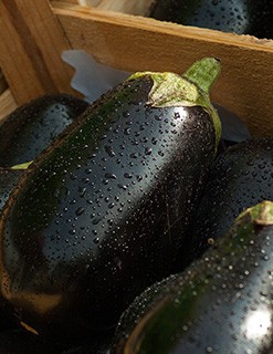 Aubergine Aubergine