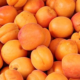 Apricots Apricots