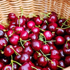 Cherries Cherries