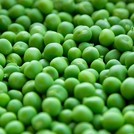 Peas Peas