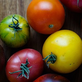 Tomatoes Tomatoes