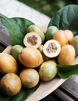 Passion fruit Passion fruit