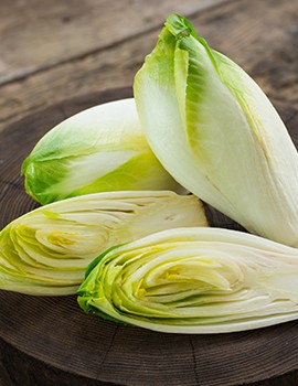 Chicory Chicory