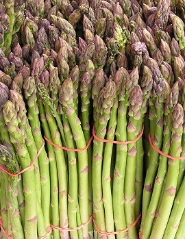 Asparagus Asparagus