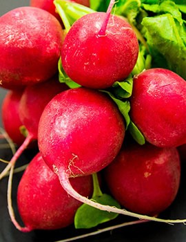 Radish Radish