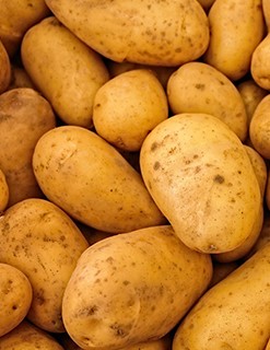 Potatoes Potatoes